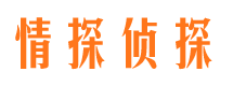 葫芦岛外遇调查取证